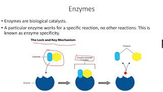 ALevel Chemistry Reaction Kinetics Part 19 [upl. by Buller]