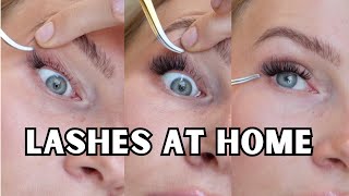 how to apply lash clusters for beginners  tips [upl. by Odrude]