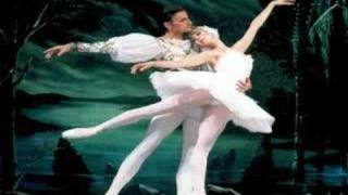 TCHAIKOVSKY Swan Lake  Лебединое Озеро [upl. by Nylkaj]