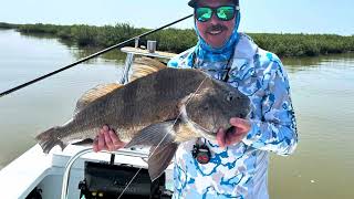 Fly Fishing for Redfish in Louisiana  June 2024 [upl. by Einahpets]