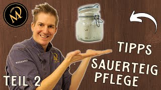 Meine Tipps zum Pflegen von Sauerteig  Sauerteig Starter richtig auffrischen [upl. by Ihsoyim]