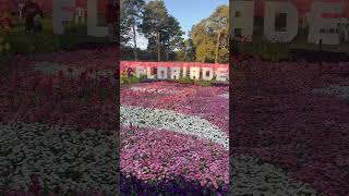 Beautiful Floriade 2024 shorts video [upl. by Pandich]