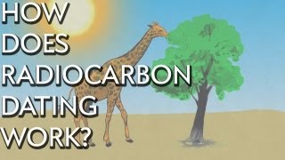 How Does Radiocarbon Dating Work  Instant Egghead 28 [upl. by Gagnon979]