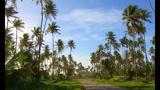 Point Radix Mayaro [upl. by Cilla]