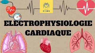 🫀physiologie 2éme unité1  cour 1 🔴Électrophysiologie cardiaque 📚 [upl. by Anirbys768]