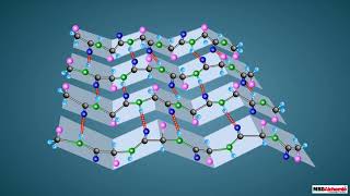 Proteins and their Structure [upl. by Indihar68]