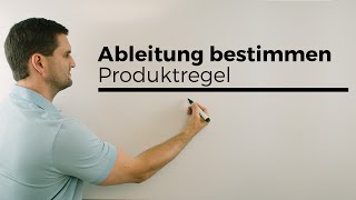 Produktregel zum Ableiten von Funktionen  Mathe by Daniel Jung [upl. by Shanney]