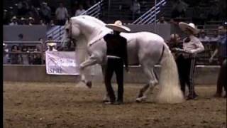 El Molinete de Ezequiel Pena en la Feria del Caballo Espanol [upl. by Pacorro629]