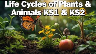 The Life Cycles of Animal amp Plants for KS1 amp KS2 [upl. by Ateekan922]