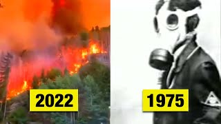 Historischer Waldbrand 1975 der Deutschland komplett änderte [upl. by Jolene368]