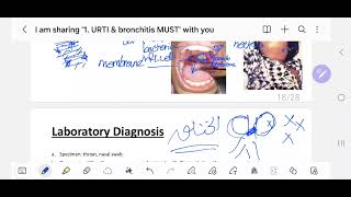 3 Diphtheria amp Moraxella  MUST 201 [upl. by Eibrik426]