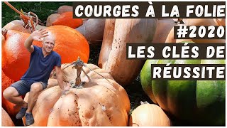 100 kilos de courges 😲  Pourquoi comment  Récolte 2020 [upl. by Delanty]