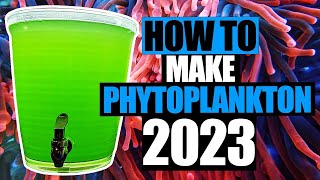 How to make Phytoplankton [upl. by Thornton156]