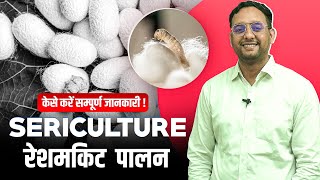 Sericulture  Silkworm Cultivation  सेरीकल्चर  रेशमकीट पालन [upl. by Mossman]