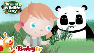 Wild Animals Videos 🐼 🦁  Giraffe Panda amp Lion  World Wildlife Day BabyTV [upl. by Perren]