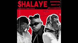 Shalaye  Elstar Remix Ft Barry Jhay amp Bella Shmurda [upl. by Maidy]