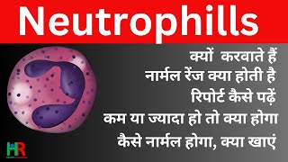 neutrophil count test  absolute neutrophil count anc test in hindi  low neurtrophil count test [upl. by Nnylyoj]