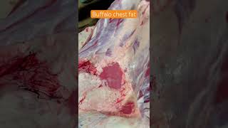 Buffalo chest fat meat beef beefcutting meatcutting butcher food shorts shortsfeed asmr [upl. by Aldrich723]