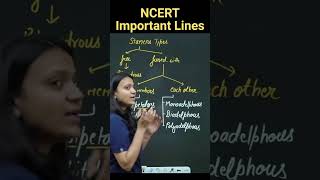 Types Of Stamens  Revision Biology NEET  NCERT important lines for NEET  medicalentrance neet [upl. by Annayar421]