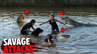 The Most SAVAGE Alligator Attacks MARATHON [upl. by Triny]