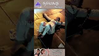 Naan Sirithal Deepavali Video Song  Nayagan Movie Songs  Kamal Haasan  Ilaiyaraaja  ytshorts [upl. by Paten]