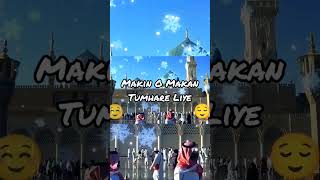 Zameen o Zaman Tumhare Liye  kalam e Ala Hazrat  Beautiful Naat Sharif Full HD  Sanaullah Boys [upl. by Furiya]