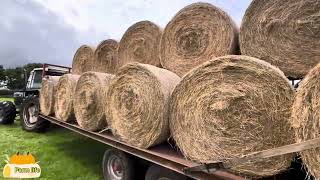 Carting big round hay bales on the farm [upl. by Oatis]