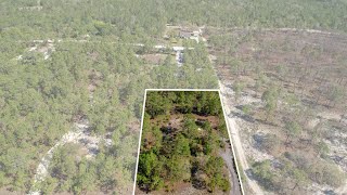 11376 Raschke Run Brooksville FL [upl. by Rolat]