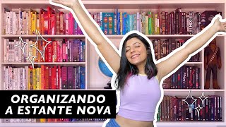 organização da estante de livros dos sonhos [upl. by Nerat]