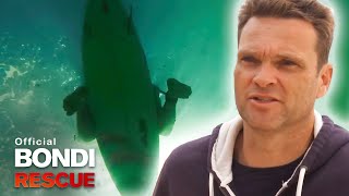 Shark Jump  Bondi Rescue S11 [upl. by Tandie]