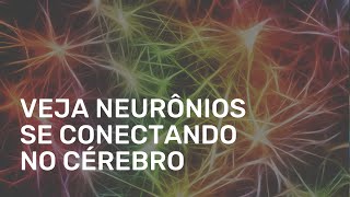 COMO OS NEURÔNIOS SE CONECTAM NO CÉREBRO IMAGENS REAIS [upl. by Nylinnej]