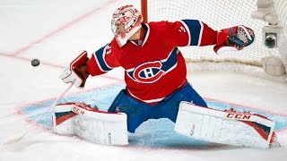 Best Saves in NHL History [upl. by Humfrid149]