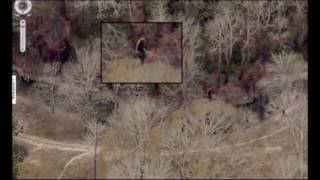 Rougarou Caught on Aerial Footage Breakdown [upl. by Amarillis]