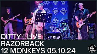 DITTY RAZORBACK LIVE 12 MONKEYS 051024 [upl. by Josselyn]