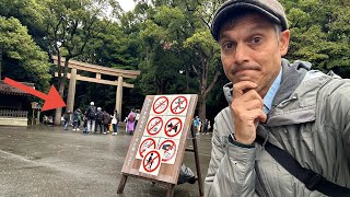 Tokyo Fallout from Vandalism at Meiji Shrine [upl. by Iain740]