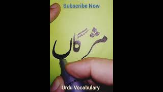 How to write مژگاں using a cut marker in Urdu Tutorial✅ handwriting calligraphy art shorts [upl. by Lora]