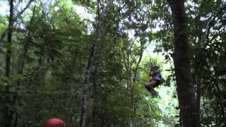 Chukka Zipline Canopy with Dunns River Falls [upl. by Barkley]