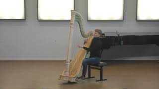 M Glinka Nocturne in Eflat Major Joost Willemze harp [upl. by Narayan]