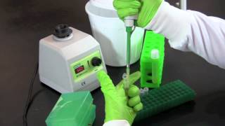 Serial Dilution and Plate Counts [upl. by Enomad]