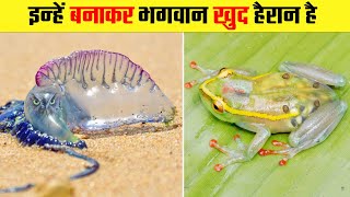 इन जानवरो की आंतें तक नजर आ जाती है । 15 Transparent animals in the world । Can You See This Animals [upl. by Illene]