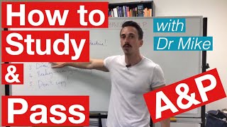 How to study and pass Anatomy amp Physiology [upl. by Oiredised]