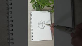 Water Lily Drawing rialartist drawing waterlily [upl. by Calva]