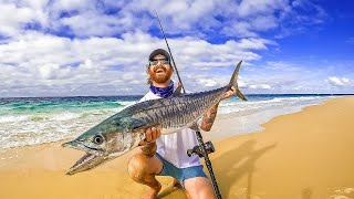 Beach Fishing with Live Baits [upl. by Ahtreb127]