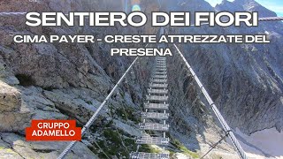 Via Ferrata Sentiero dei Fiori  Cima Payer  Creste del Presena  Alpi ReticheAdamello  4k [upl. by Trudi564]