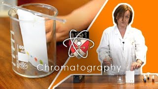 Chromatography  GCSE Science Required Practical [upl. by Aztiley335]