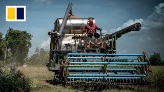 Thai farmers take advantage as global rice prices surge [upl. by Silver]