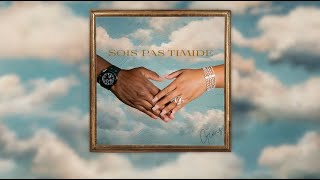 GIMS  Sois pas timide Official Lyrics Video [upl. by Madancy730]