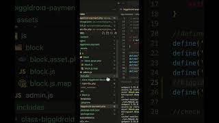 Learn WooCommerce Payment Gateway Development wordpress woocommerce wordpresstutorial php cod [upl. by Abrahams940]