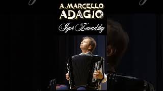 AMarcello Concerto in D minor Adagio 46 Zavadsky accordion marcello adagio classicalmusic [upl. by Anividul]