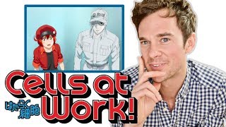 Real DOCTOR reacts to CELLS AT WORK Anime review [upl. by Akirahs204]